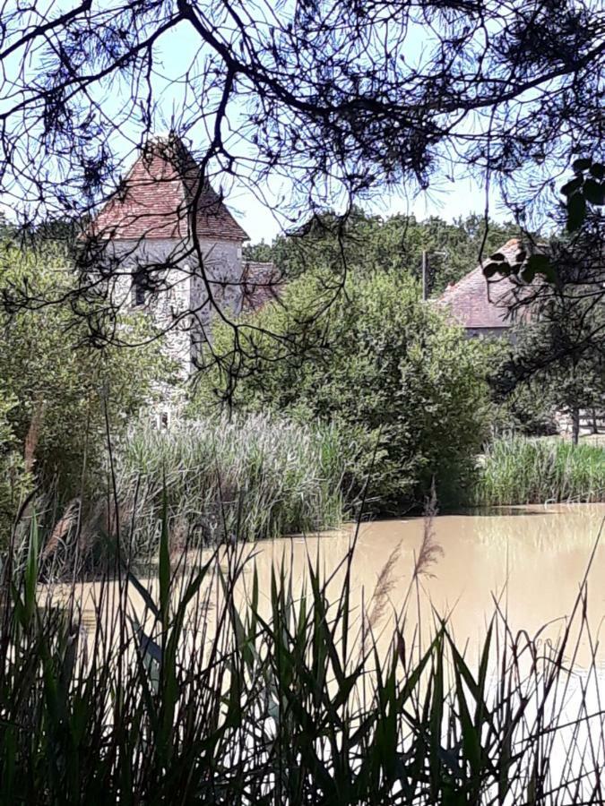 Le Manoir De Pierre Levee, The Originals Collection Hotel Tournon-Saint-Martin Buitenkant foto