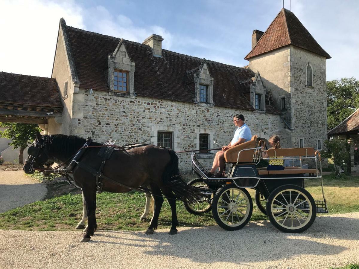 Le Manoir De Pierre Levee, The Originals Collection Hotel Tournon-Saint-Martin Buitenkant foto